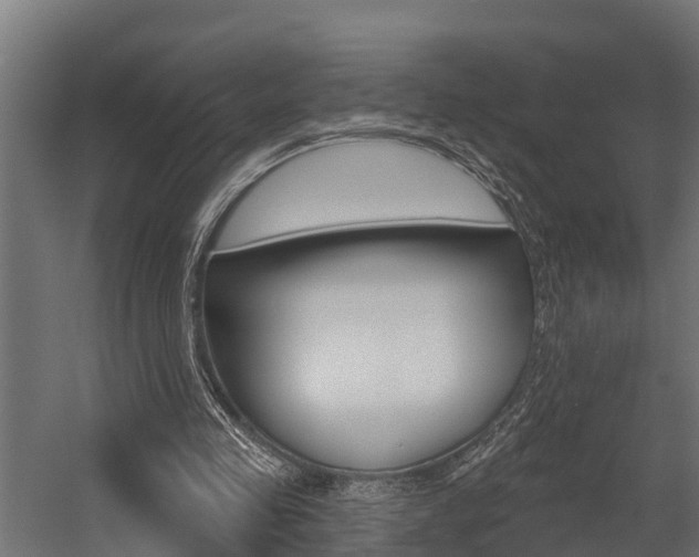 X0000054380341200507290902