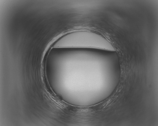 X0000054380342200507290902