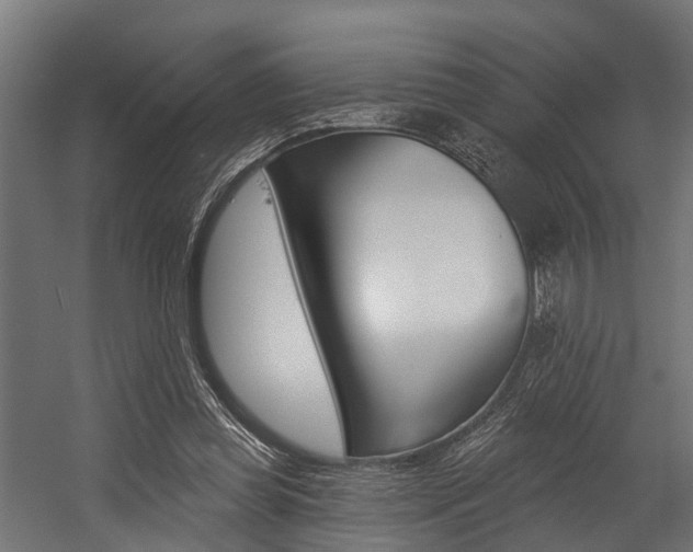 X0000054380349200507290903