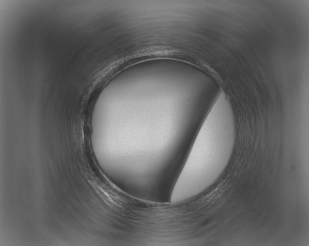 X0000054380350200507290903