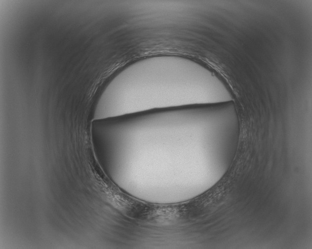 X0000054380353200507290903