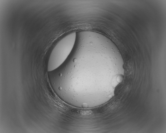 X0000054380355200507290903