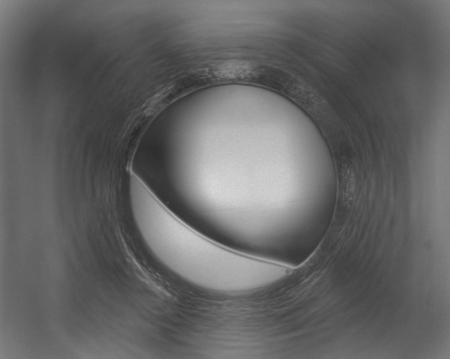 X0000054380356200507290903