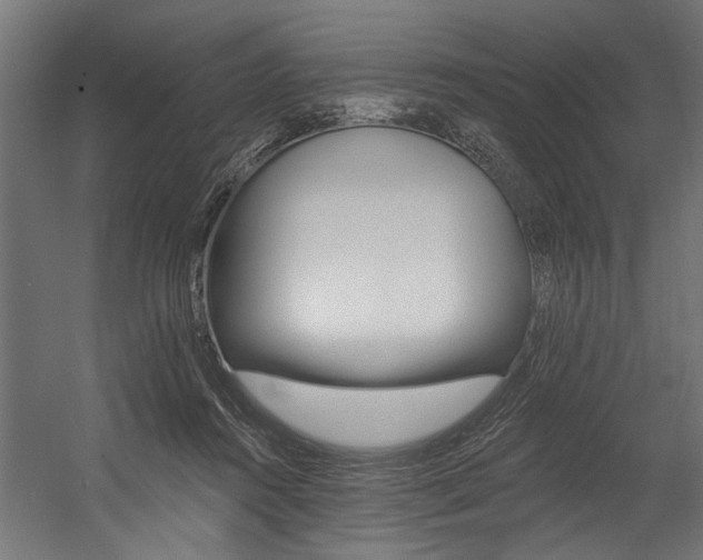 X0000054380360200507290903