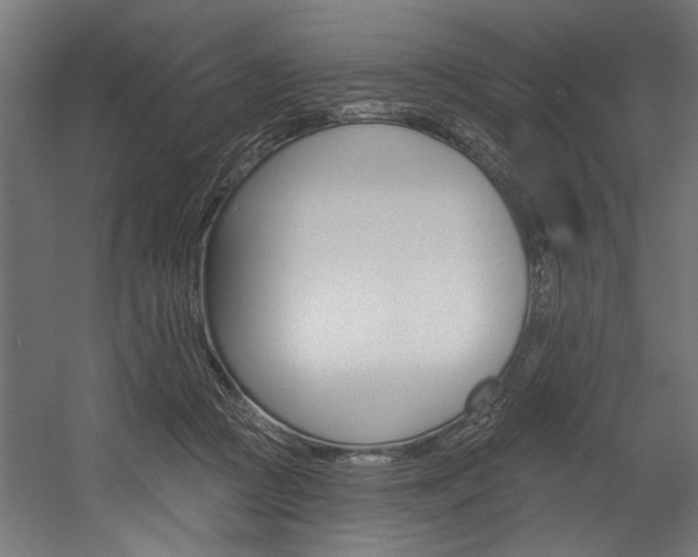 X0000054380361200507290903