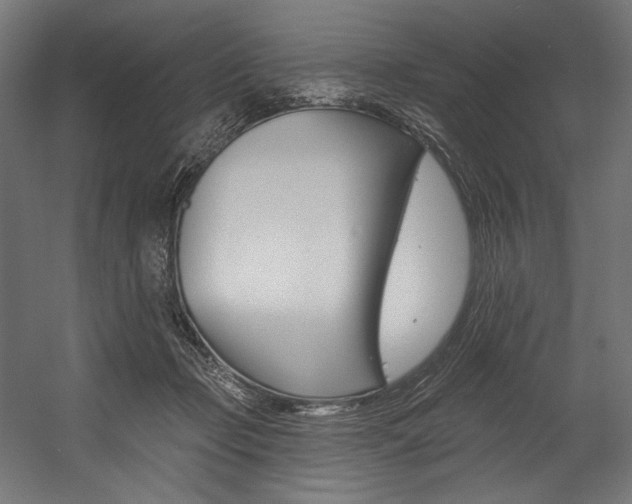 X0000054380365200507290903