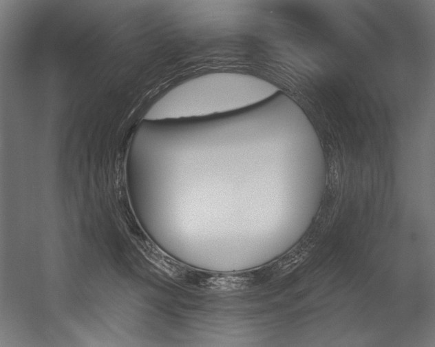 X0000054380367200507290903