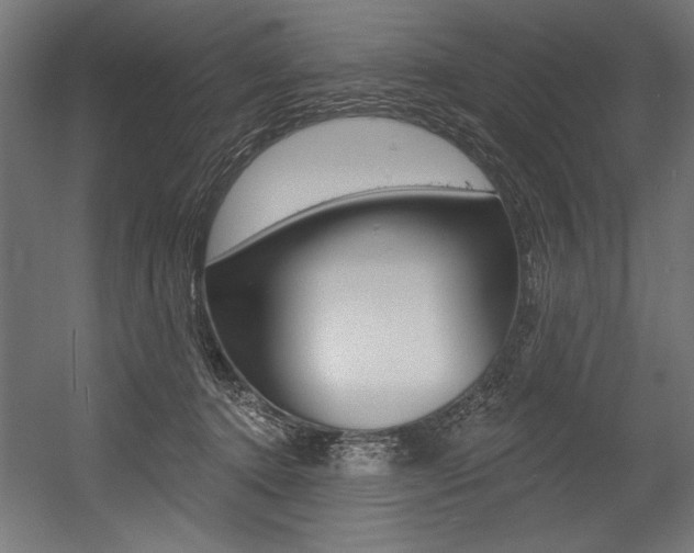 X0000054380368200507290903