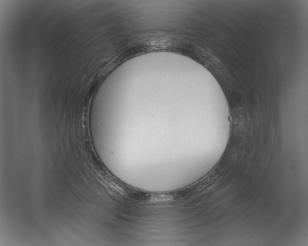 X0000054380369200507290903