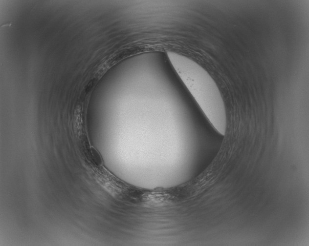 X0000054380372200507290903
