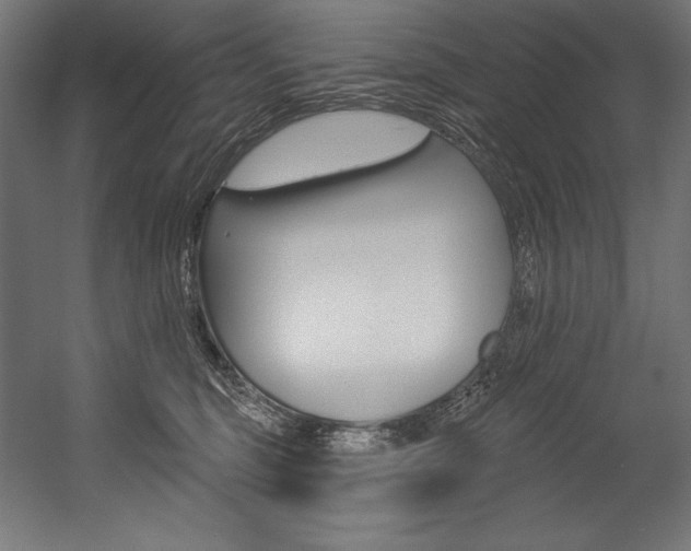 X0000054380375200507290903