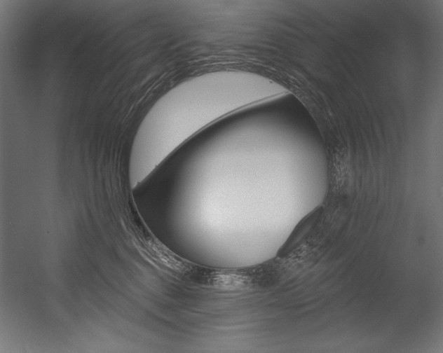 X0000054380376200507290903