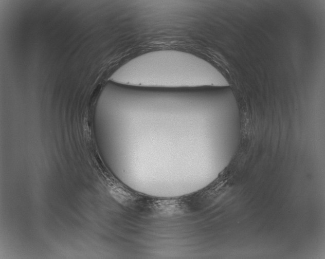X0000054380377200507290903
