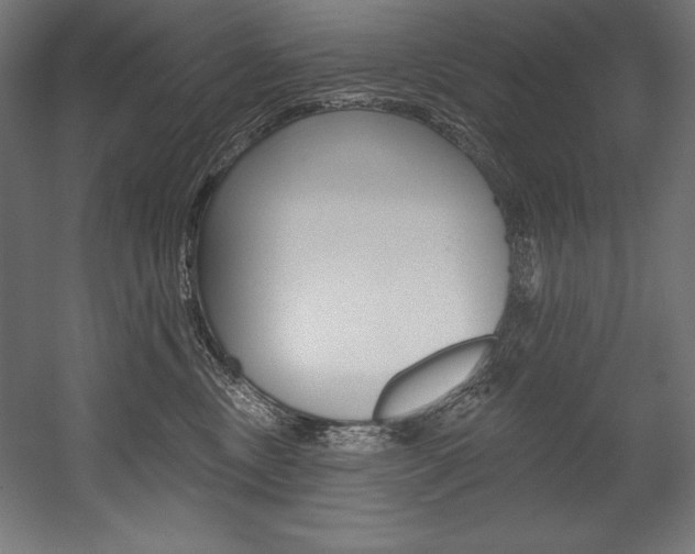 X0000054380378200507290903