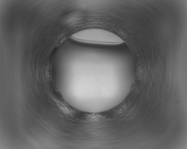 X0000054380379200507290903