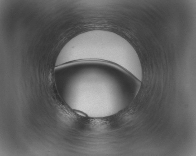 X0000054380380200507290903