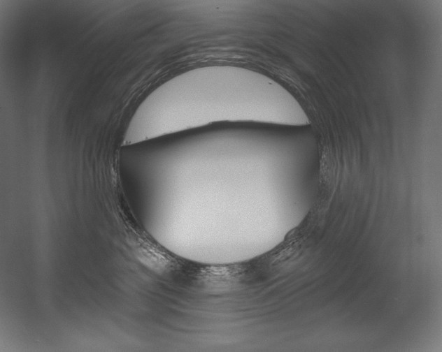 X0000054380381200507290903