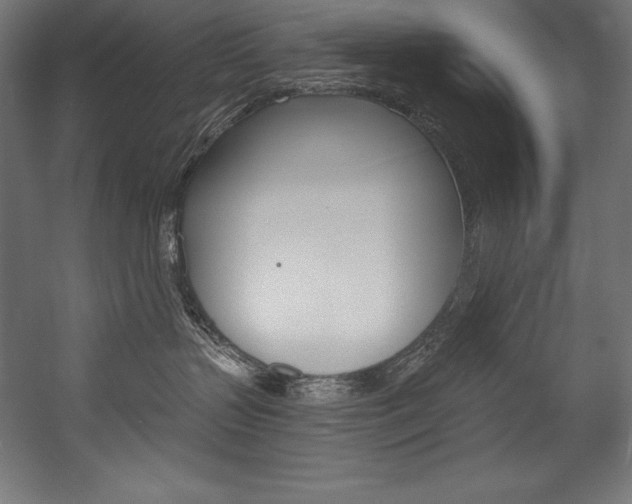 X0000054380383200507290903