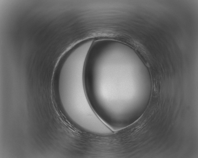 X0000054380388200507290902