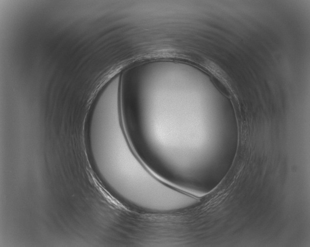 X0000054380389200507290902