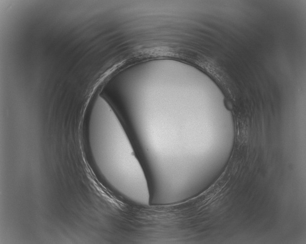 X0000054380390200507290902