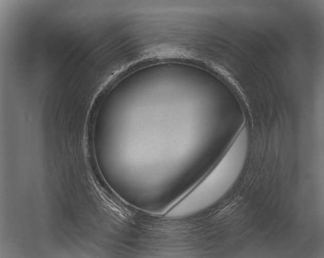 X0000054380391200507290902