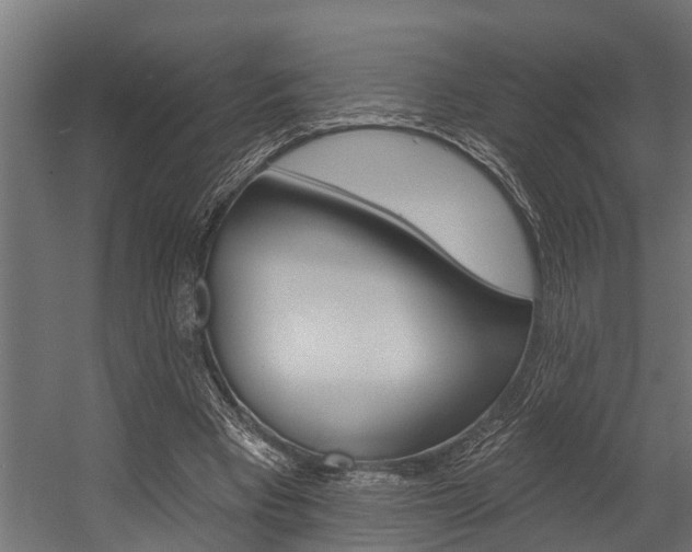 X0000054380393200507290902