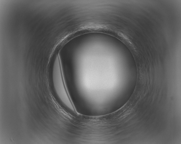 X0000054380399200507290902