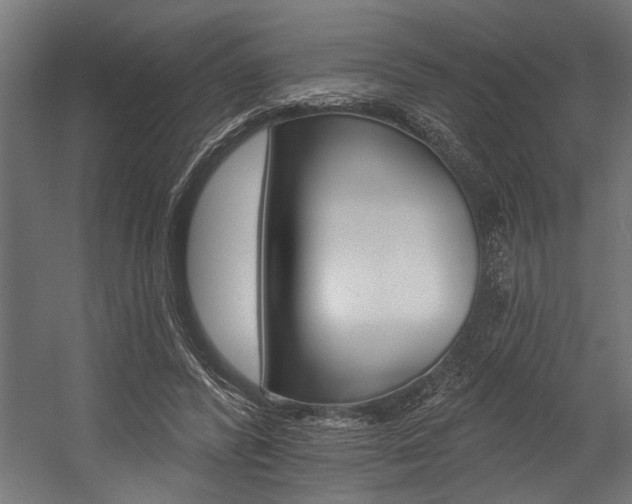 X0000054380400200507290902