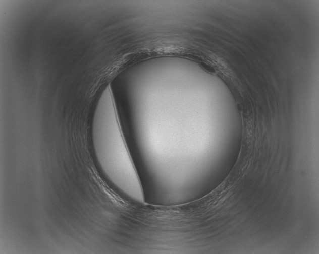 X0000054380401200507290902