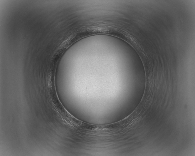 X0000054380403200507290902