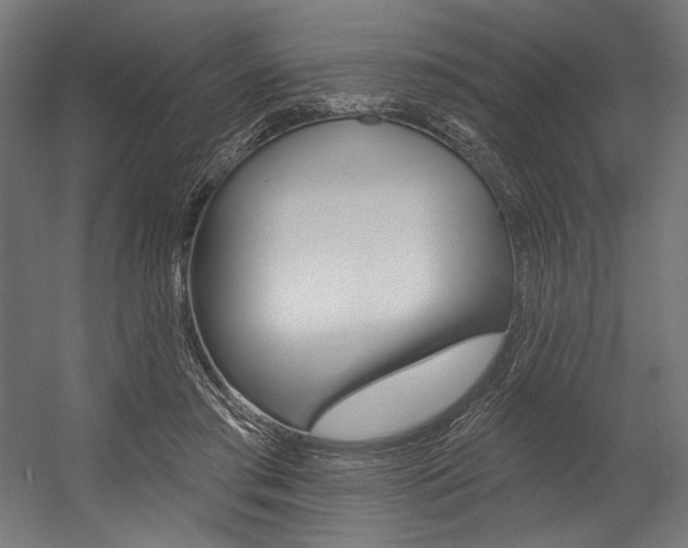 X0000054380405200507290902
