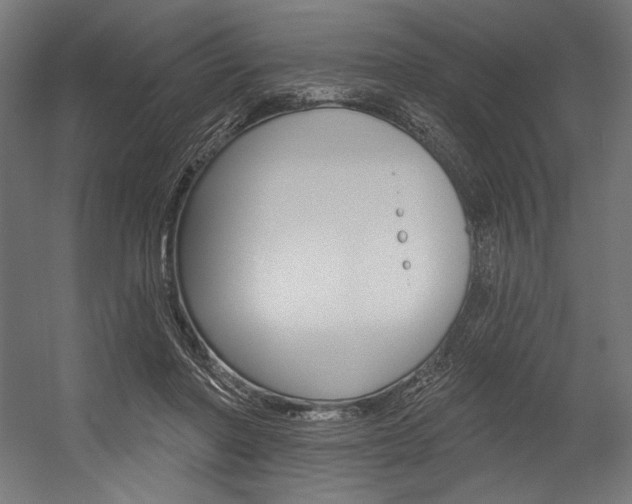 X0000054380406200507290902