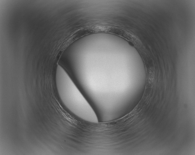 X0000054380409200507290902