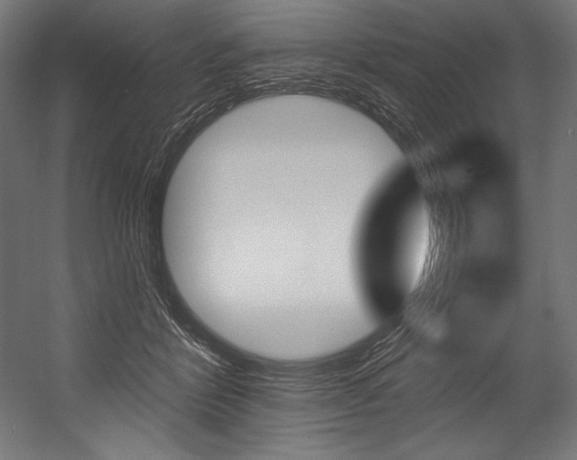 X0000054380412200507290902