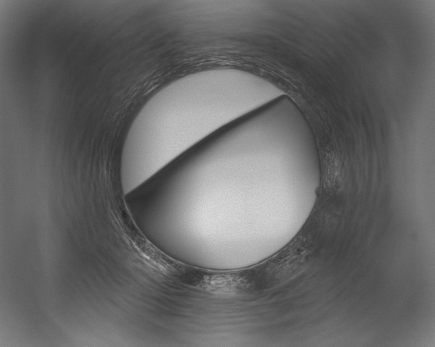 X0000054380414200507290902