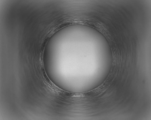 X0000054380415200507290902
