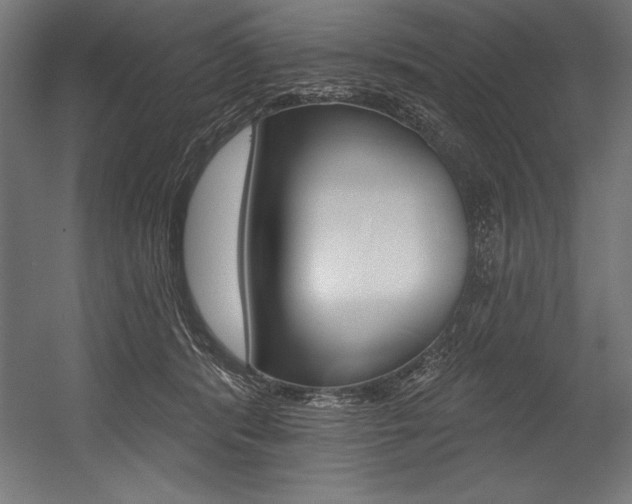 X0000054380416200507290902