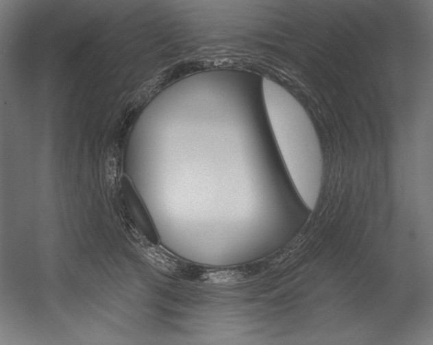 X0000054380417200507290902