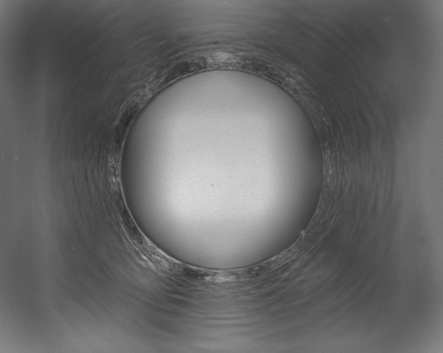 X0000054380419200507290902