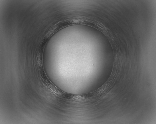 X0000054380421200507290902