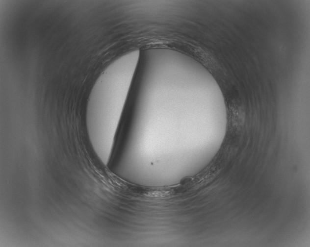 X0000054380422200507290902