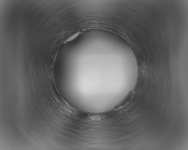 X0000054380423200507290902