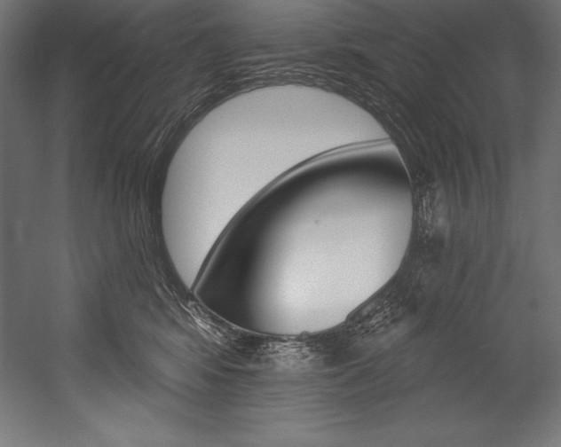 X0000054380424200507290902