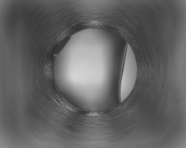 X0000054380425200507290902