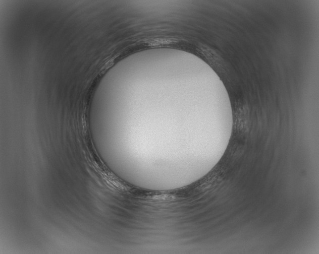 X0000054380426200507290902