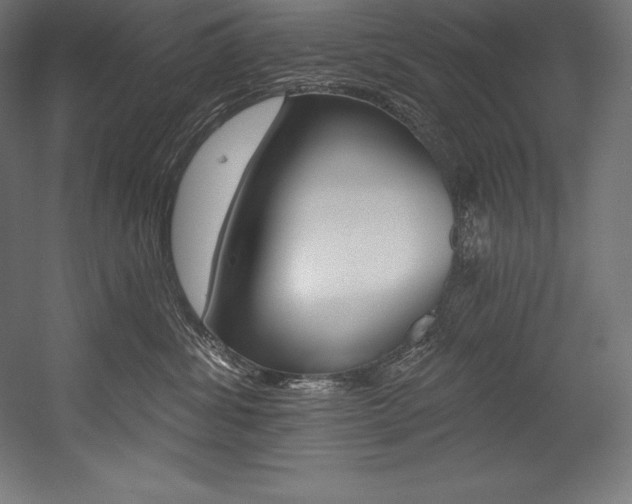 X0000054380428200507290902
