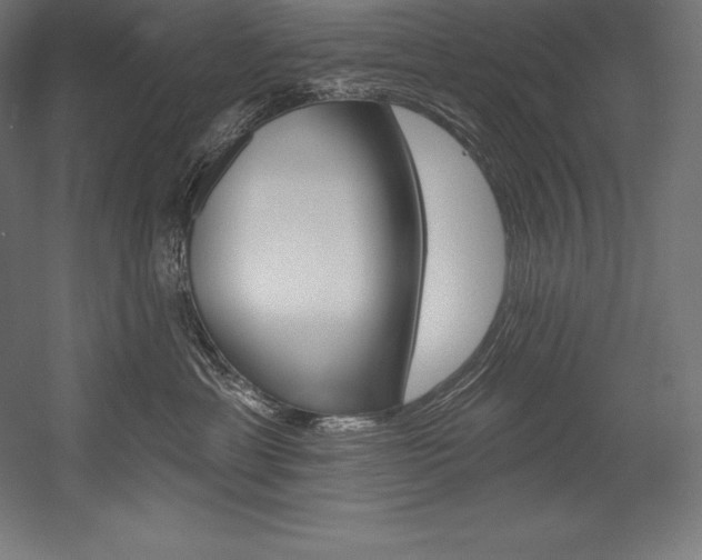 X0000054380429200507290902