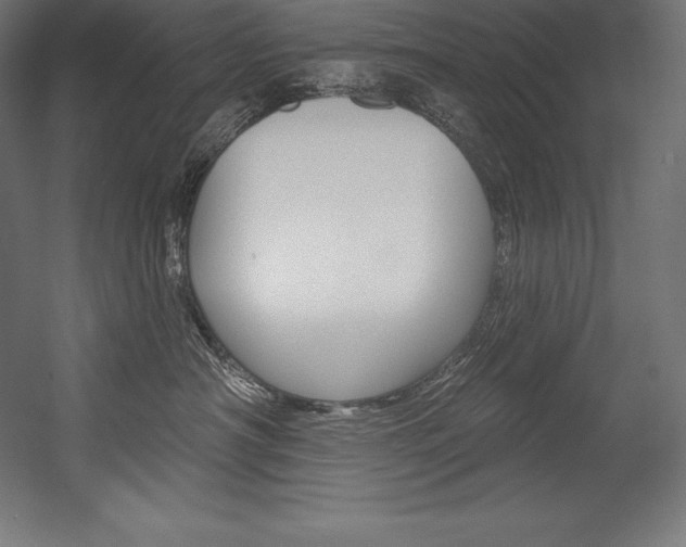 X0000054380430200507290902