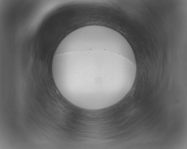 X0000054380431200507290902